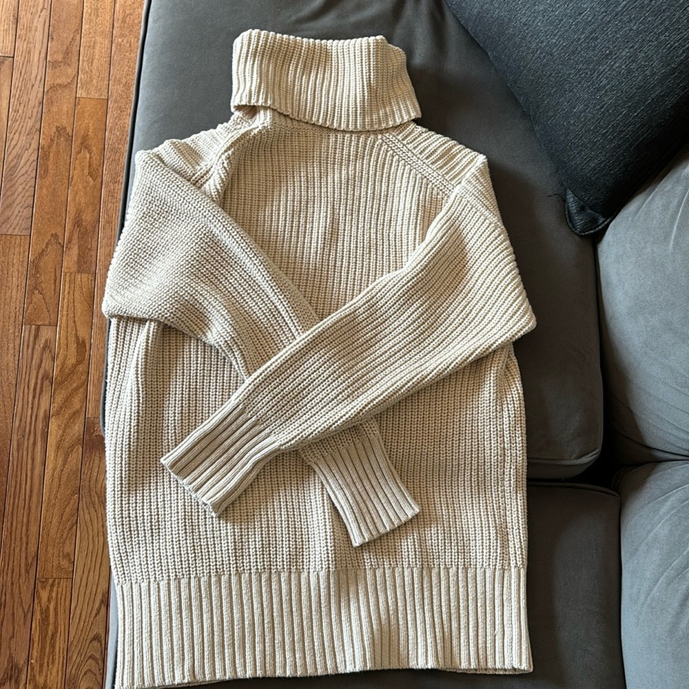 Talula Knit Turtleneck from Aritizia